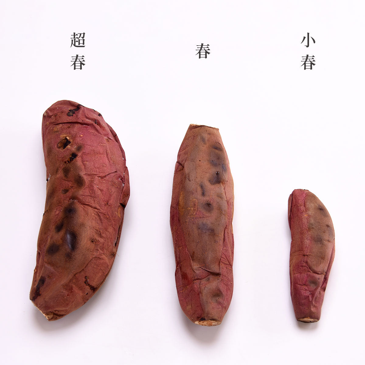 冷凍焼き芋 春 (春：3～5本)